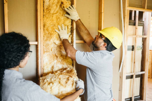 Best Commercial Insulation Services  in Riverdale, IL